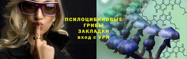 прущий лед Карпинск
