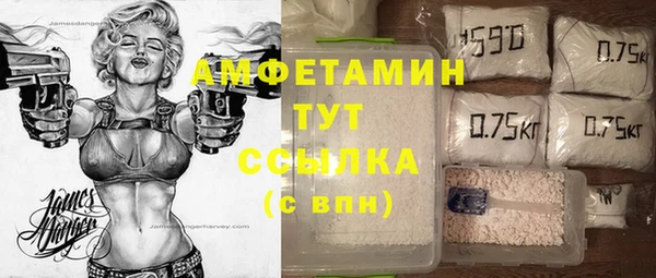 крисы Ессентукская
