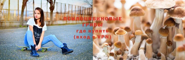прущий лед Карпинск
