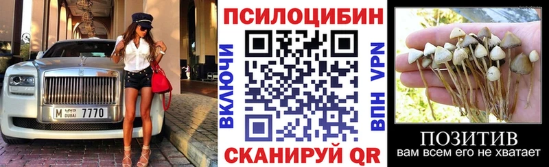 Галлюциногенные грибы Psilocybe  Купить закладки  Малгобек 